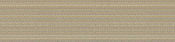 什么是魚(yú)絲帶？